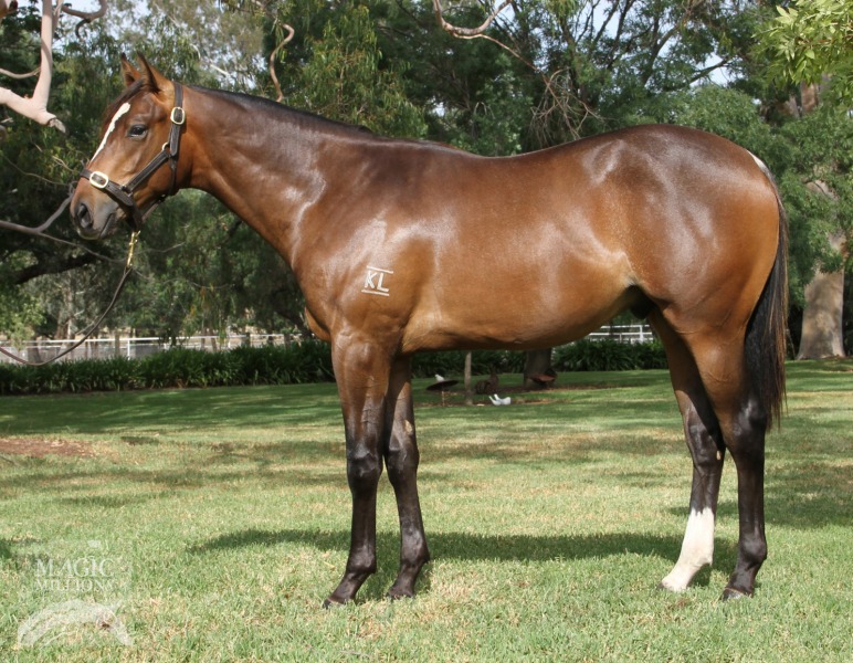 Shrapnel (AUS) / Oriana (AUS) - photo 1