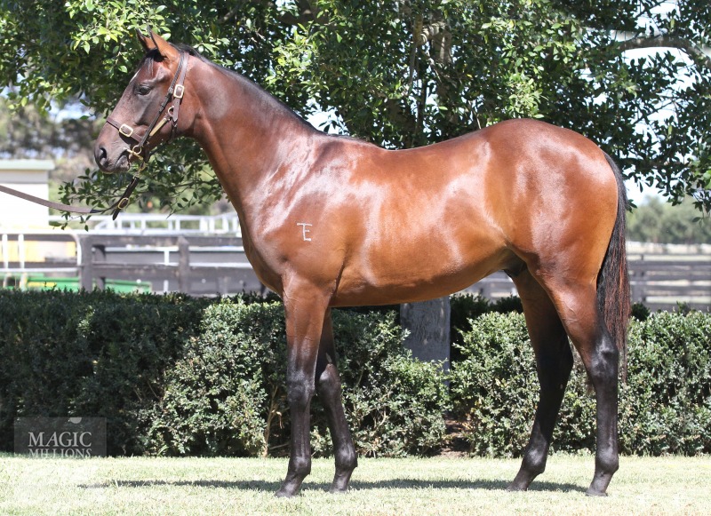 Domesday (AUS) / Orpenella (AUS) - photo 1