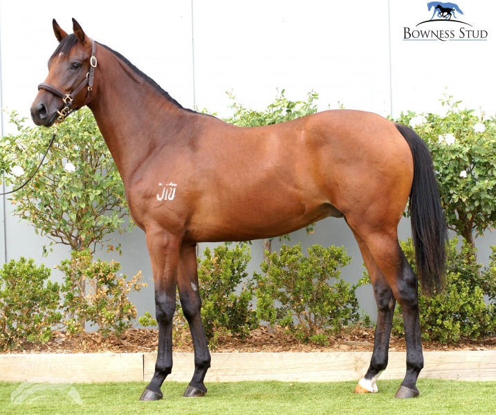 Bullish (AUS) - photo 1