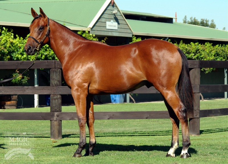 Getequid (AUS) - photo 1