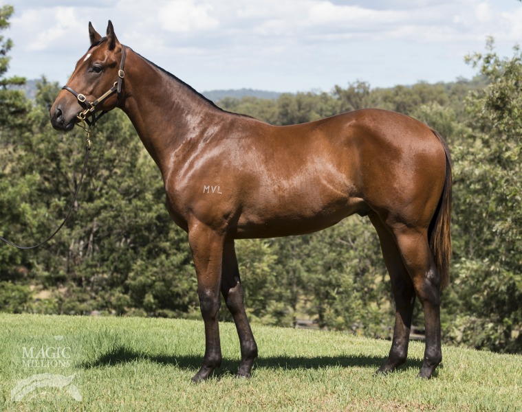 Rich Praise (AUS) - photo 1