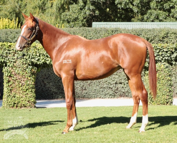 Good Journey (USA) / Rain Dance Lady (AUS) - photo 1