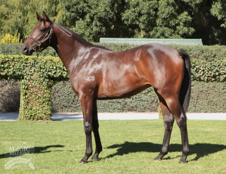 Abandonment (AUS) - photo 1