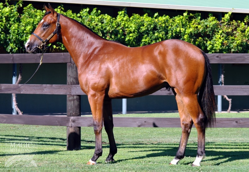 Equiano (FR) / She Likes to Rock (AUS) - photo 1