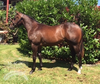 Burgundy Classic (AUS) - photo 1