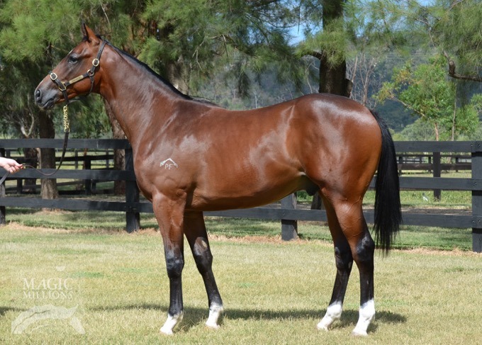 First Growth (AUS) - photo 1