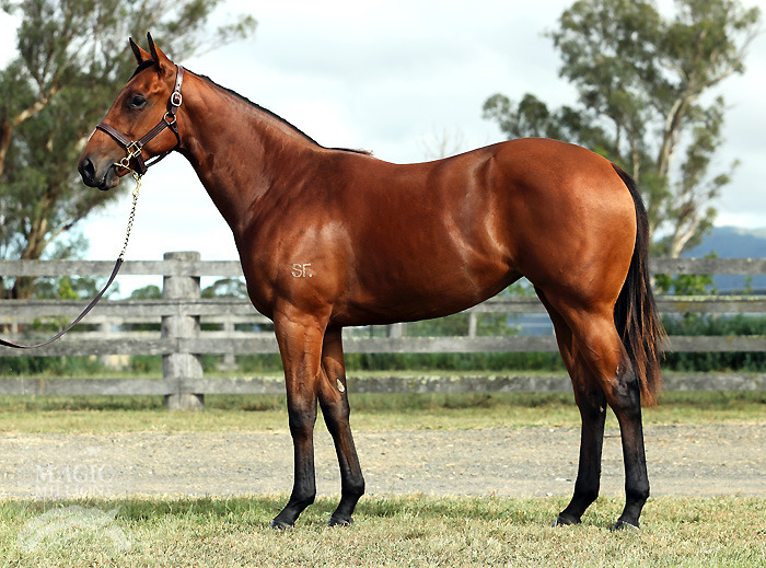 The Wild Wild West (AUS) - photo 1