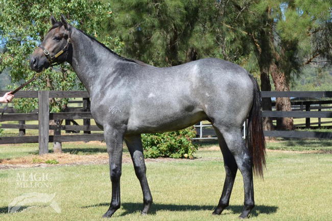 Like A Spectre (AUS) - photo 1