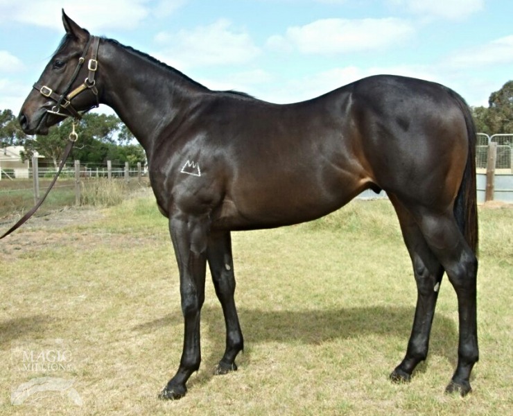 Statue of Liberty (USA) / Bonbird (NZ) - photo 1