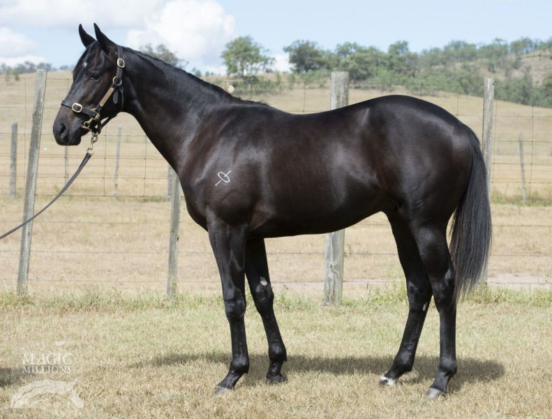 Wonderful World (AUS) / Centafaith (AUS) - photo 1