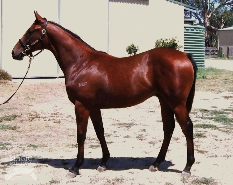 Scarborough Fair (AUS) - photo 1