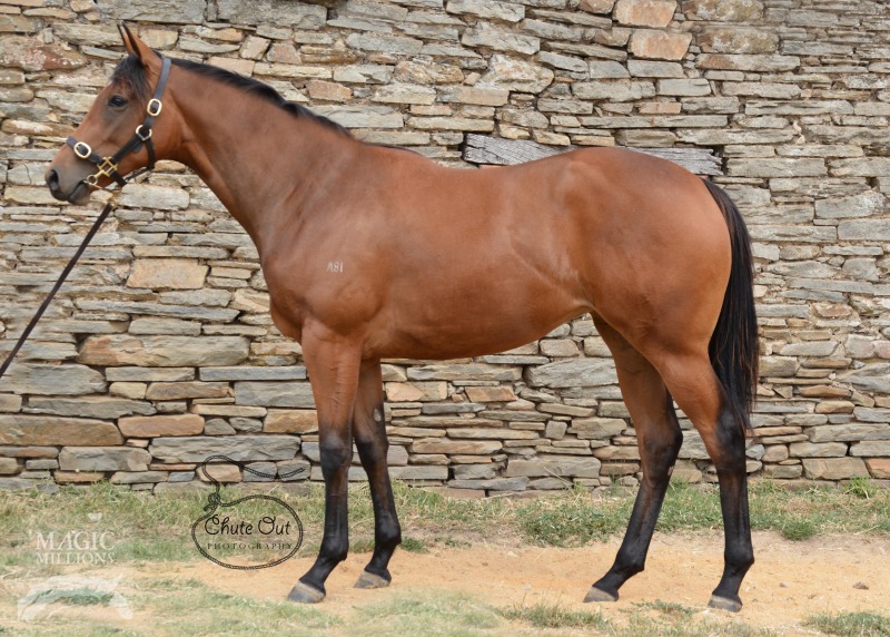 Willochra (AUS) - photo 1