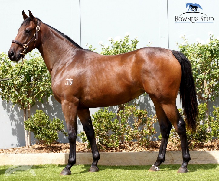 Roman Hoffa (AUS) - photo 1