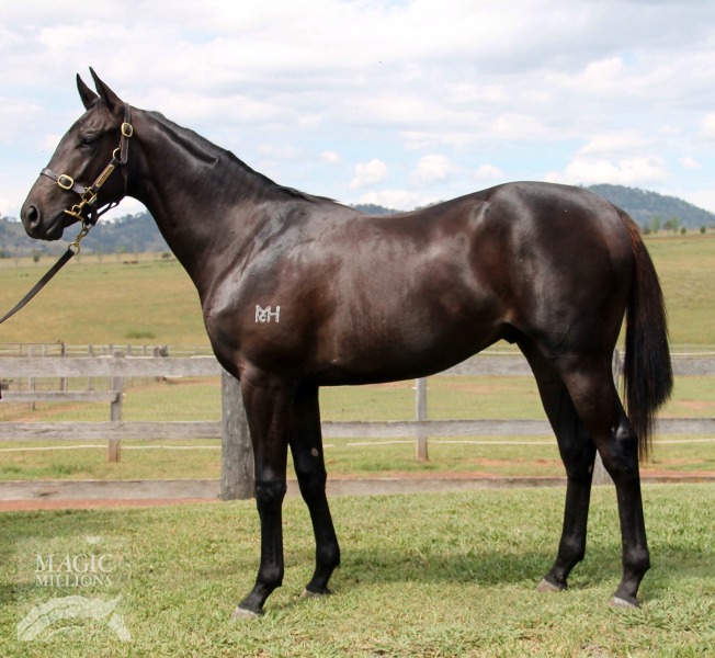 Arlington (AUS) / Itsahit (AUS) - photo 1