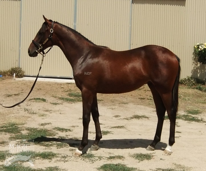 Artie Schiller (USA) / Princess Bayley (AUS) - photo 1