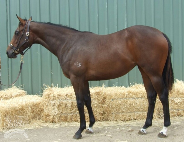 Good Journey (USA) / Private Star (AUS) - photo 1