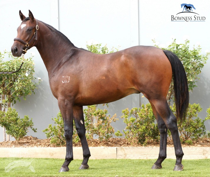 Bon Hoffa (AUS) / Souffle (AUS) - photo 1