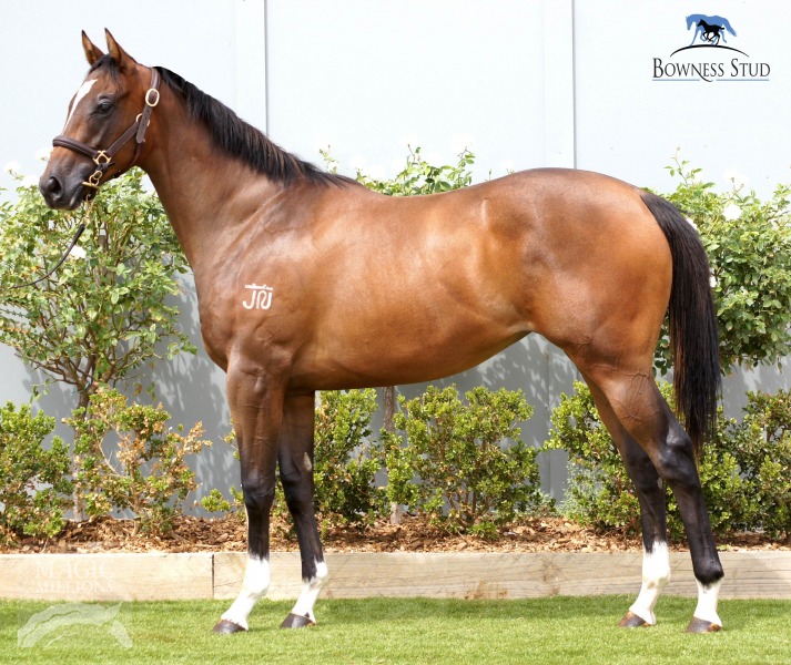 Star Surfer (AUS) - photo 1