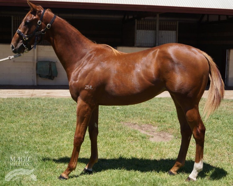 Rhythmical (AUS) - photo 1