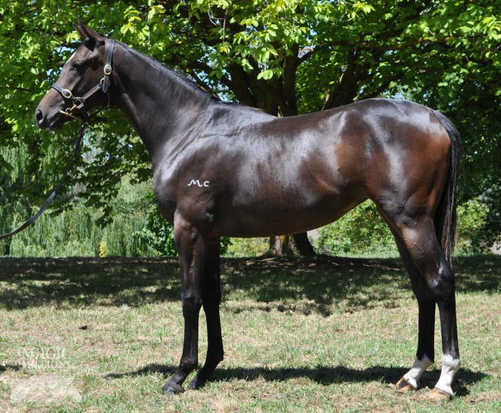 Miss Ebony Rose (AUS) - photo 1