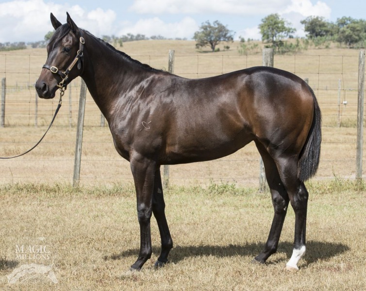 Desxiri (AUS) - photo 1