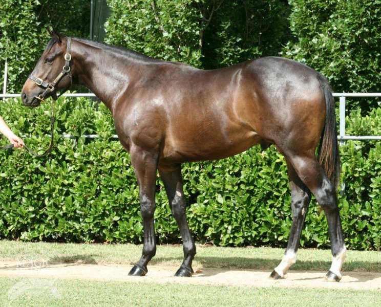 Havildar (AUS) - photo 1