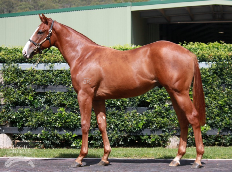 Raja Ampat (AUS) - photo 1