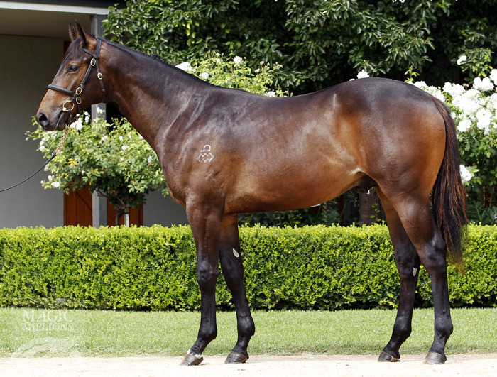 Manhattaning (AUS) - photo 1