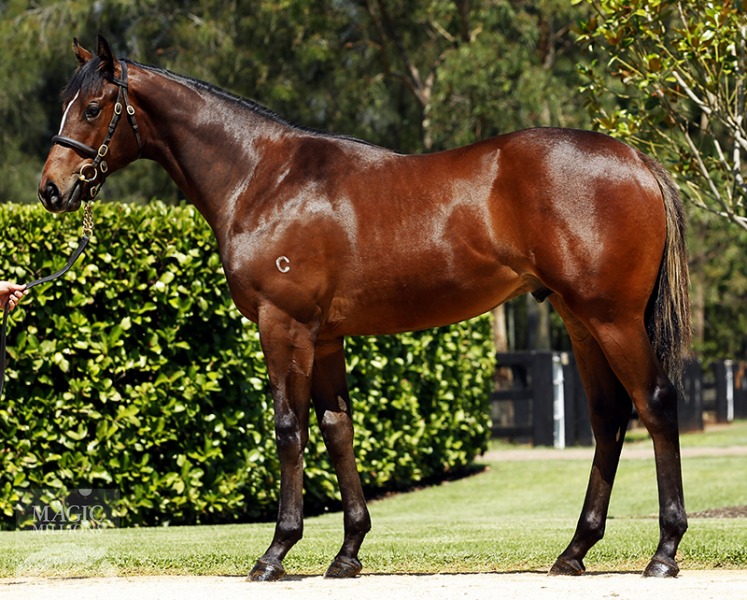 Choisir (AUS) / A Class Act (AUS) - photo 1