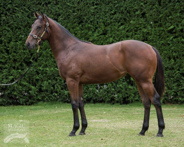 Jericho (AUS) - photo 1