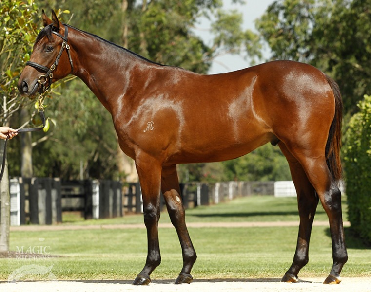 Amendment (AUS) - photo 1