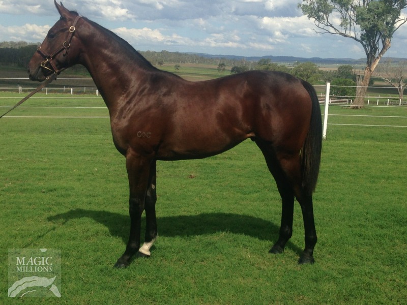 Congressional (AUS) - photo 1