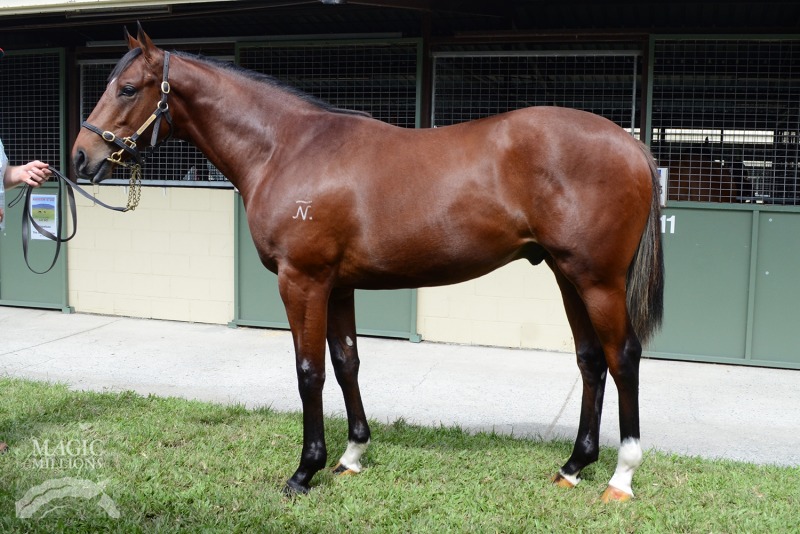 Tuivasa (AUS) - photo 1