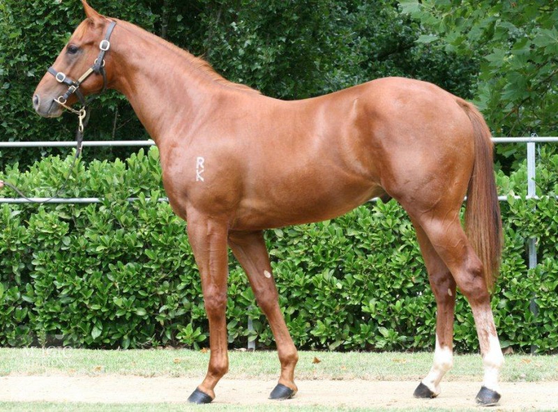 Manhattan Justice (AUS) - photo 1