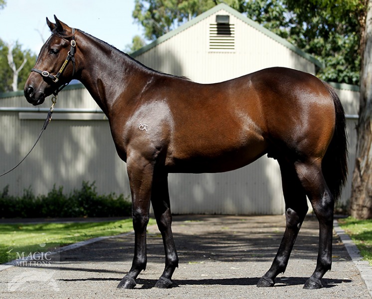 Who Said It's Easy (AUS) - photo 1