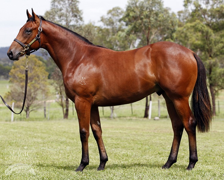 Mr Chow (AUS) - photo 1