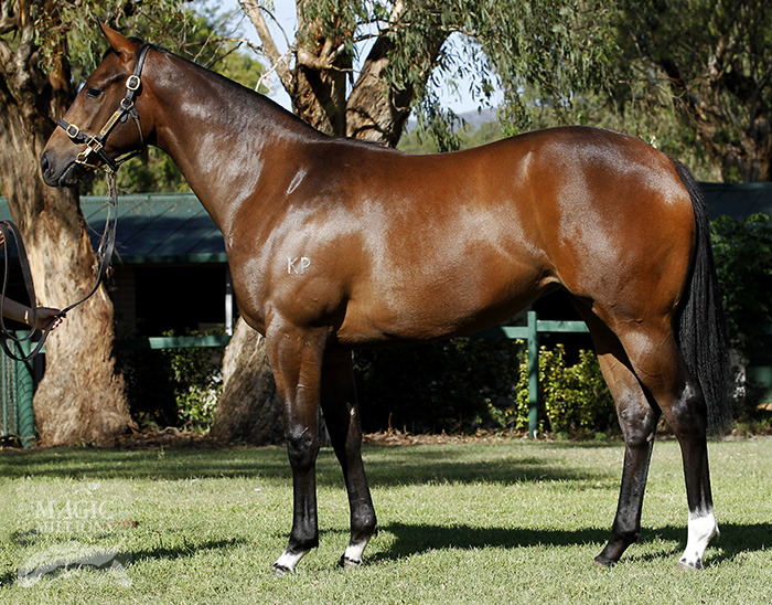 Thyme for Roses (AUS) - photo 1