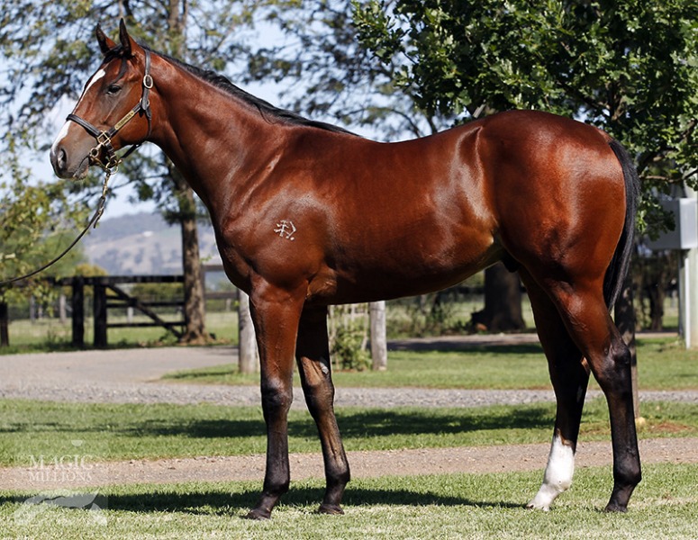 Dieters (AUS) - photo 1