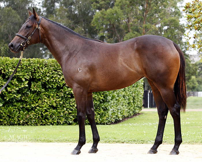 Carmelita Mo (AUS) - photo 1