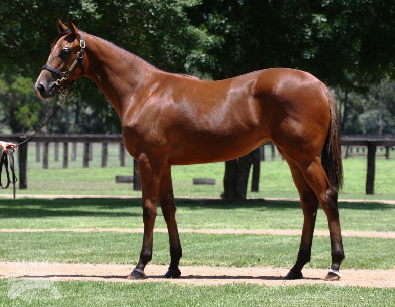 Charlee Bear (AUS) - photo 1