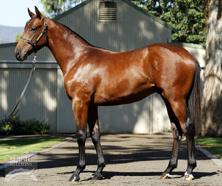 Bringaroo (AUS) - photo 1