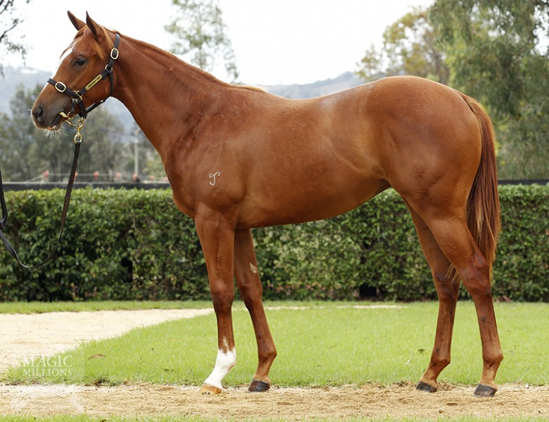 She's Positive (AUS) - photo 1