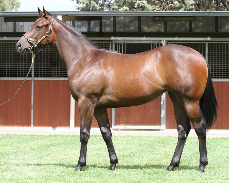 Lips 'N' Lashes (AUS) - photo 1