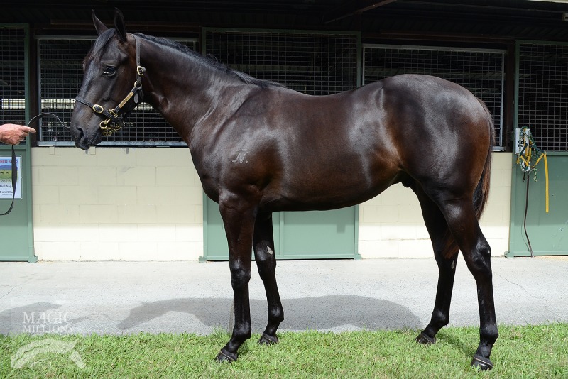 Commands (AUS) / Beyonce's Star (AUS) - photo 1