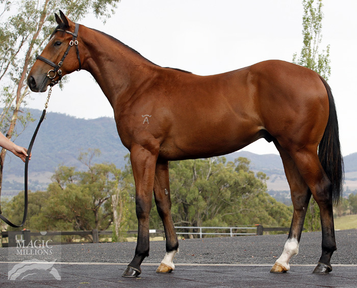 Starcraft (NZ) / Biancalaura (AUS) - photo 1