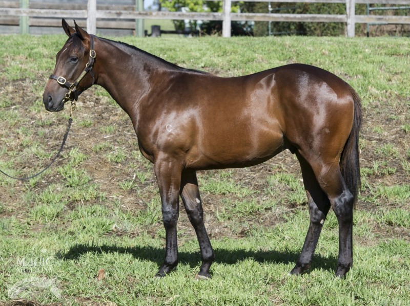 Tumultuous (AUS) - photo 1