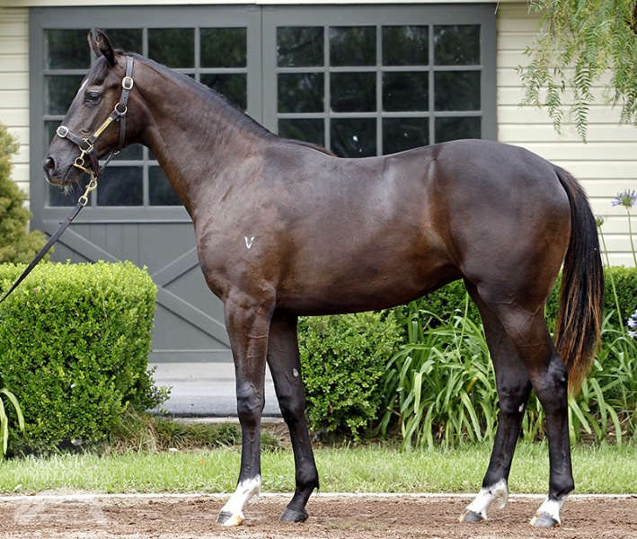 Secret Bond (AUS) - photo 1