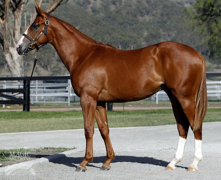 Reverence (AUS) - photo 1