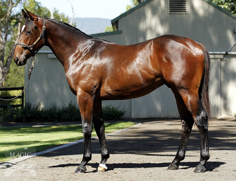 Woomera (AUS) - photo 1