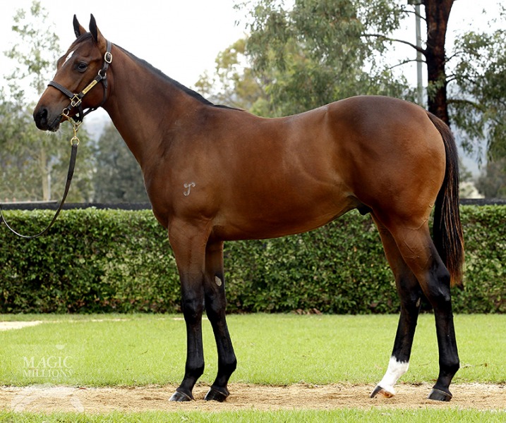 The Reverend Demon (AUS) - photo 1